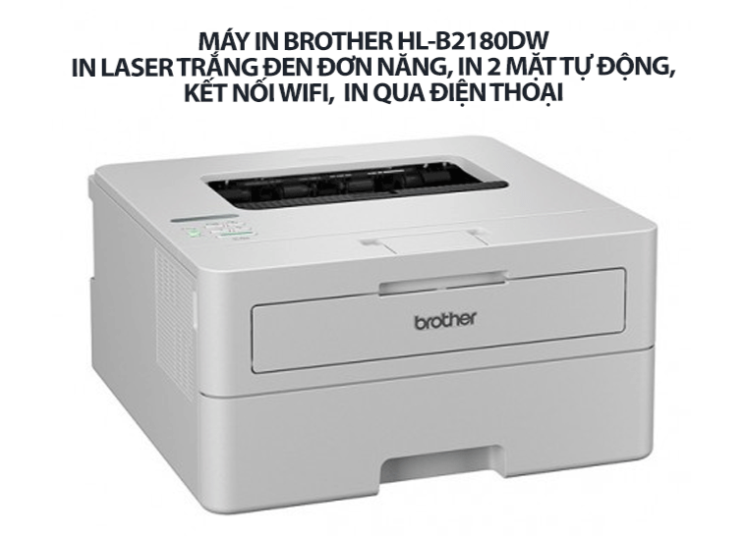 may-in-cho-windows-1-wi6vxz